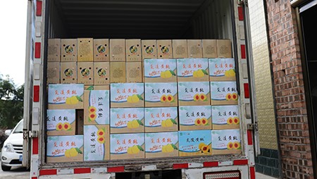 助銷黃桃社會(huì)扶貧，關(guān)愛員工送高溫福利